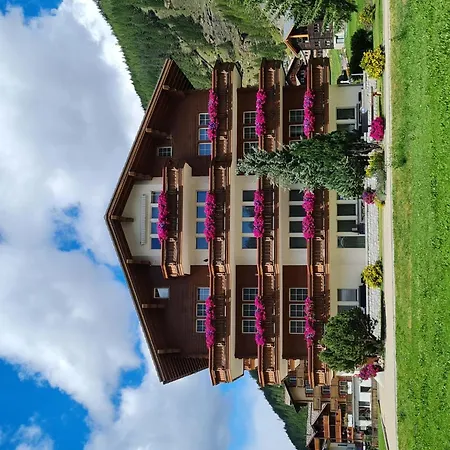 Orion Appartement-fewo 6-bettwohnung Nr- 51 By Interhome Appartement Saas-Grund